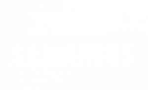 Logo Club Esportiu LGTB+ Samarucs Valencia